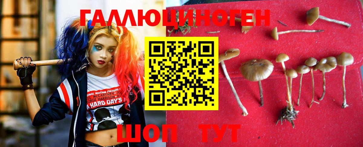 Галлюциногенные грибы Psilocybine cubensis Артёмовский