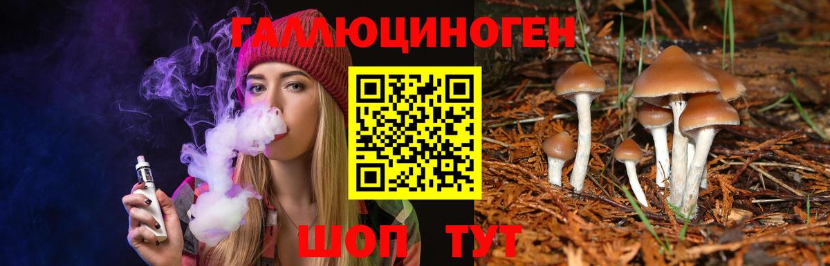 Псилоцибиновые грибы Psilocybe  Вход с VPN  Артёмовский 