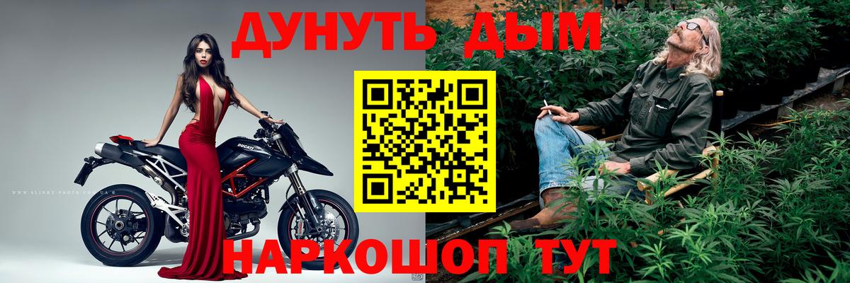 Артёмовский  Конопля SATIVA & INDICA  Вход с VPN  Бошки Шишки индика 